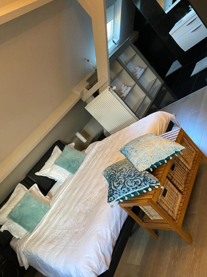 Cosy Studio Met Zwembad Beringen Exterior photo