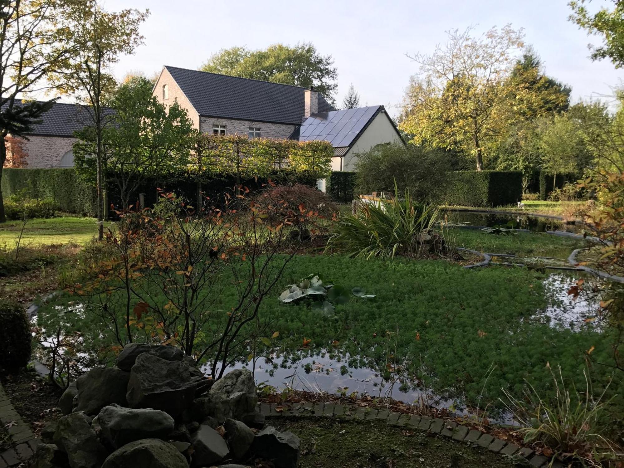 Cosy Studio Met Zwembad Beringen Exterior photo